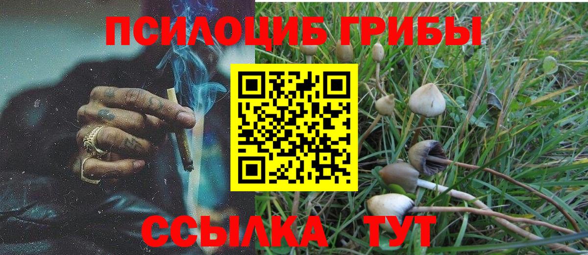 Галлюциногенные грибы Magic Shrooms  Вход с VPN  Галлюциногенные грибы прущие грибы  Чусовой 